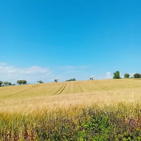 La Gioconda Civitanova Marche