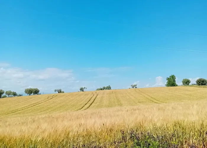 La Gioconda Civitanova Marche